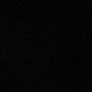 Meet your Posher, Audrey